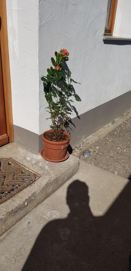 Ferienwohnung Natururlaub Muggenbrunn 토트나우 외부 사진