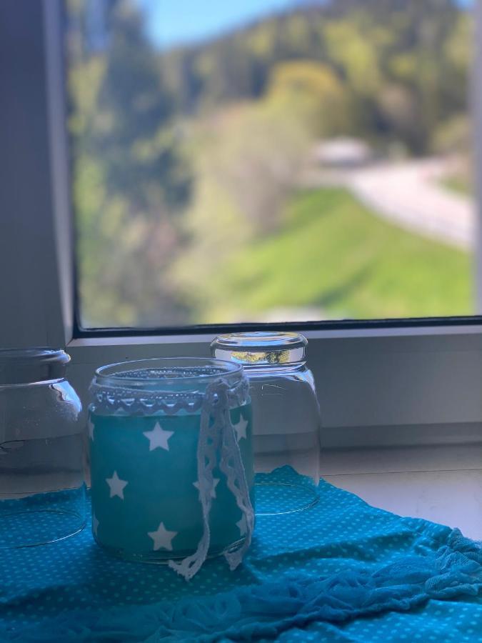 Ferienwohnung Natururlaub Muggenbrunn 토트나우 외부 사진